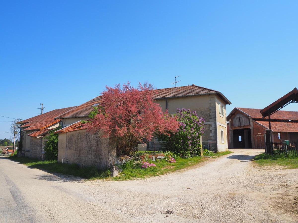 Le Gite Du Haut Châtillon-la-Palud Exterior foto